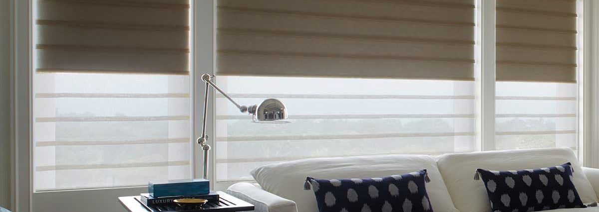 Modern Roman Shades Vignette In Leela Escape by Accent Verticals in Boring OR
