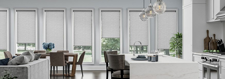 Roman Shades from Accent Verticals in Boring OR
