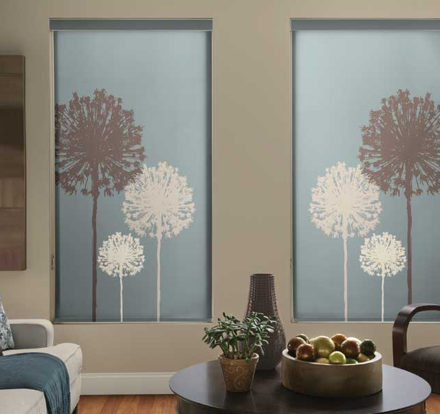 Roller Shades – Accent Verticals Window Coverings – Window Coverings ...